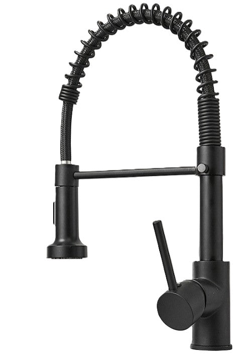 Black Stainless Steel Kitchen Faucet